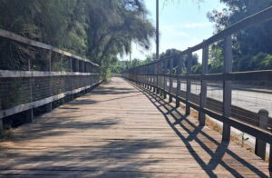 Partiti gli interventi di manutenzione sulla pista ciclabile a Focene