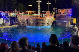 Arriva "Zoomarine Night" con effetti speciali, caccia al tesoro e l'apertura serale notturna a tema pirati