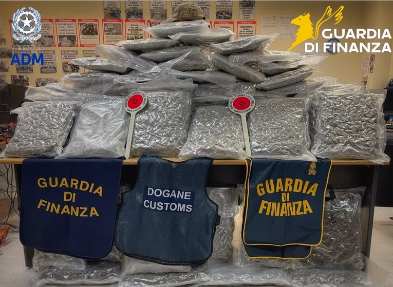 Civitavecchia, sequestrati 81 chili di marijuana dalla guardia di finanza: la droga nascosta tra abiti da sposa