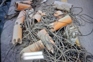 Gaeta, nel Golfo drastica diminuzione dei polpi