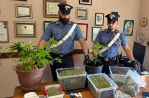 Monterotondo, tre arresti dei carabinieri per spaccio e detenzione di sostanze stupefacenti