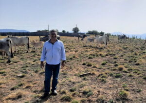 Peretti (AVS): “Alla Campania serve una Legge regionale sul Clima”