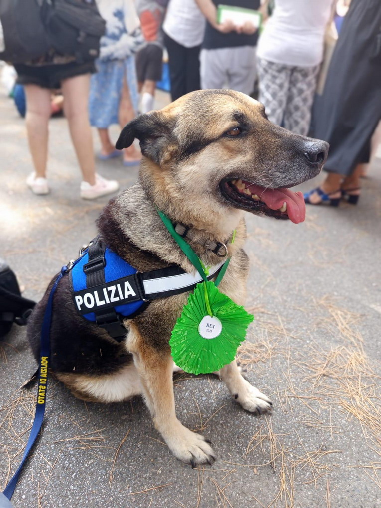 Il poliziotto Rex premiato a San Rocco di Camogli