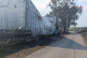 Fiumicino, rogo doloso cantiere navale, Califano: "Presentata interrogazione regionale"