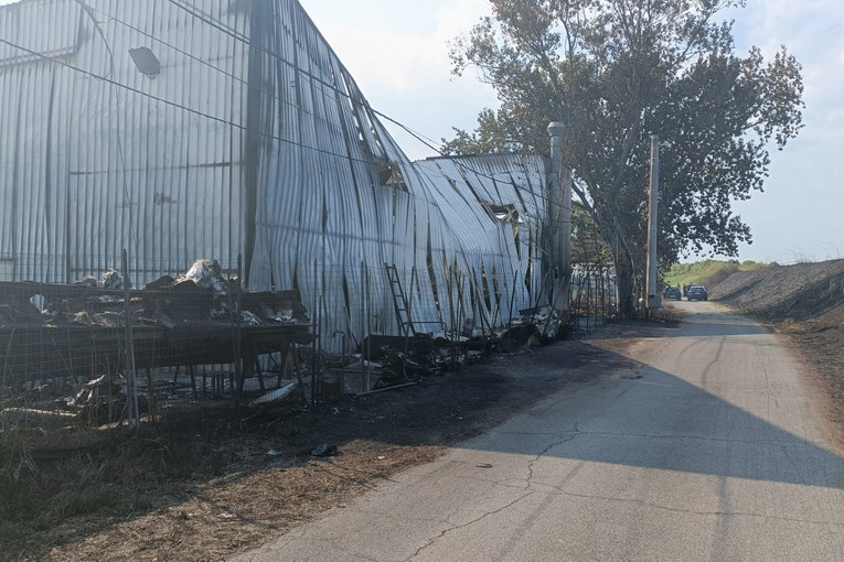 Fiumicino, rogo doloso cantiere navale, Califano: “Presentata interrogazione regionale”