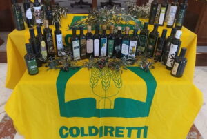 Dazi, Coldiretti: "Da vino e olio stangata da oltre un miliardo"