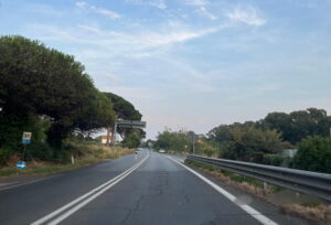 via aurelia