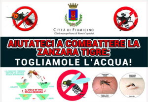 Zanzare e West Nile: il Comune di Fiumicino già in azione con attività mirate