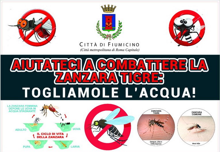 Zanzare e West Nile: il Comune di Fiumicino già in azione con attività mirate