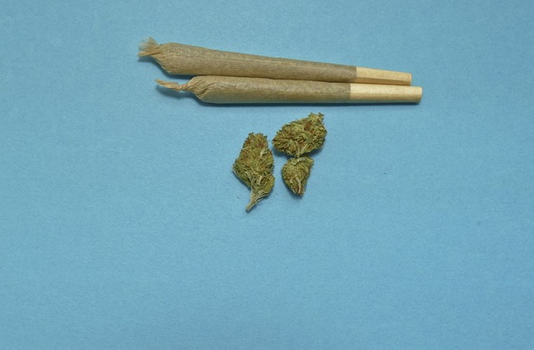 De Lillo (Omceo Roma): "Cannabis determina gravissimi effetti psicotropi"