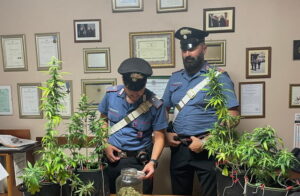 Fonte Nuova, carabinieri scoprono serra di marijuana in un garage