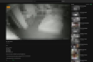 Yarix scopre sito con 2.000 videocamere violate: dirette e video privati venduti online