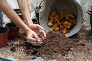 Fiumicino, corso gratuito di compostaggio domestico per trasformare i rifiuti in risorsa