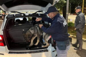 Frosinone, continuano i controlli della polizia su tutto il territorio