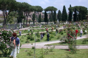 Roma, Alfonsi: "Boom di visitatori al Roseto comunale e al Clivo di Villa Celimontana"