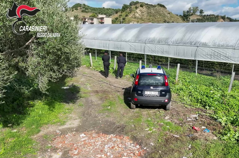 San Luca, scoperte 35 mila metri quadrati di serre abusive in area protetta: quattro denunce