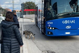 Frosinone, controlli della Polizia di Stato per il progetto “Scuole sicure”
