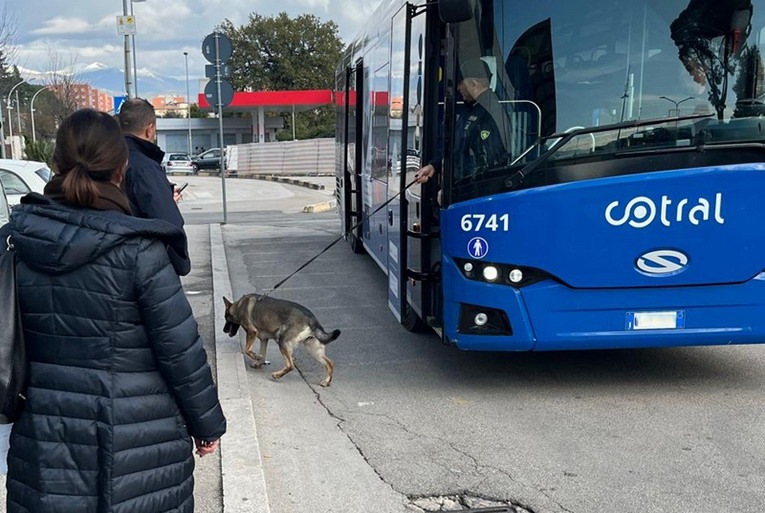 Frosinone, controlli della Polizia di Stato per il progetto “Scuole sicure”